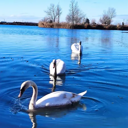 Romantic Lakeside Retreat - Nature Sport Near Bp Holiday home *